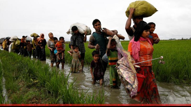 The latest exodus of Rohingyas was triggered by a military crackdown in northern Rakhine, which the Myanmar describes as a legitimate response to attacks on security forces by insurgents. REUTERS