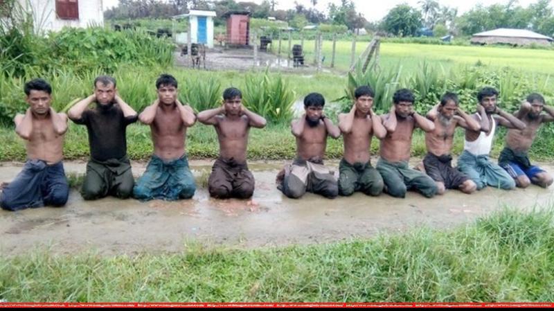 Ten Rohingya Muslim men with their hands bound kneel in Inn Din village, northern Rakhine, Myanmar, Sept 1, 2017. REUTERS
