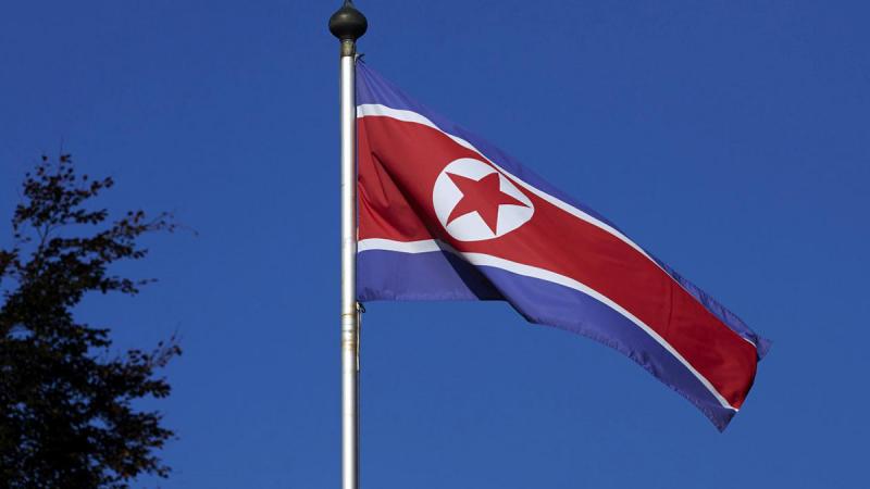 A North Korean flag flies on a mast at the Permanent Mission of North Korea in Geneva October 2, 2014. REUTERS
