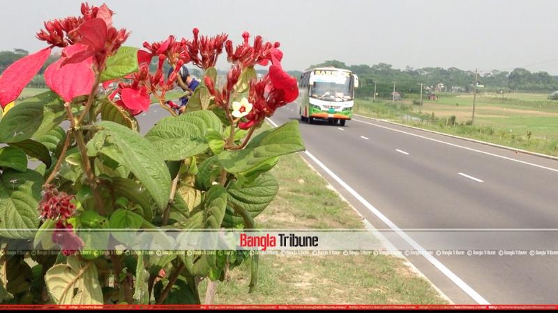 Bokul, Mohua, Bohera, Krishnochura and many more trees with fruits and medicinal qualities have been planted on the road island.
