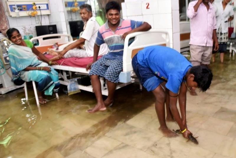 Fish in hospital as rains kill 80 in north India. BSS