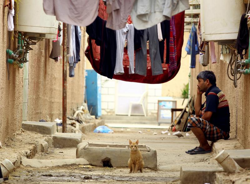 A cat sits near a worker at his accommodation in Qadisiya labor camp, Saudi Arabia, Aug. 17, 2016. REUTERS