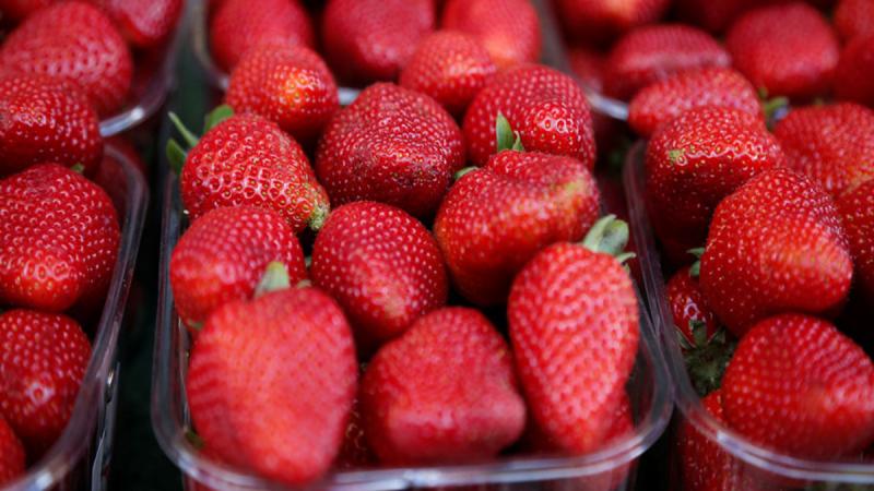 Strawberry. REUTERS/FILE PHOTO