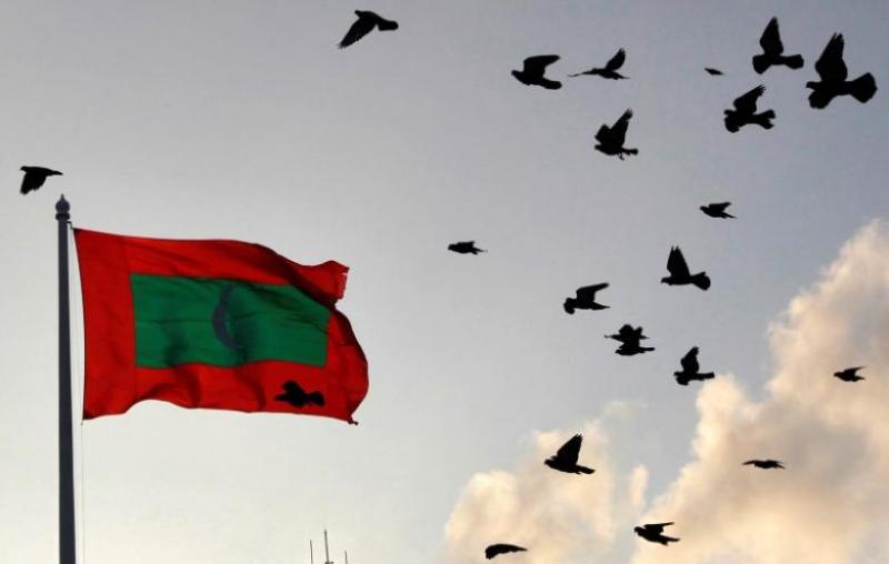 A Maldives national flag flutters as pigeons fly past during the morning in Male February 8, 2012. REUTERS