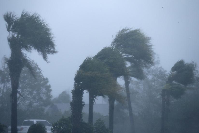 Palm trees are seen during Hurricane Michael in Panama City Beach, Florida, US Oct 10. REUTERS