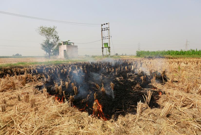Stubble is seen burning at a rice field in Gharaunda in the northern state of Haryana, India, October 9, 2018.  Picture taken October 9, 2018. REUTERS