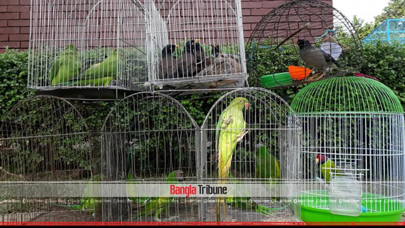 Forty-eight birds in captivity return home