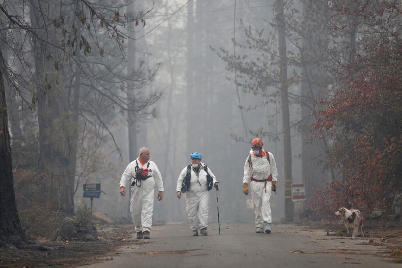 Volunteers search for human remains with Moutard`s cadaver dog, I.C., in a neighborhood destroyed by the Camp Fire in Paradise, California, US, November 14, 2018. REUTERS
