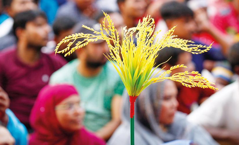 File photo of a BNP supporter carrying a memorabilia of paddy sheaf, the party`s polls logo, at a rally in Dhaka. MEHEDI HASAN