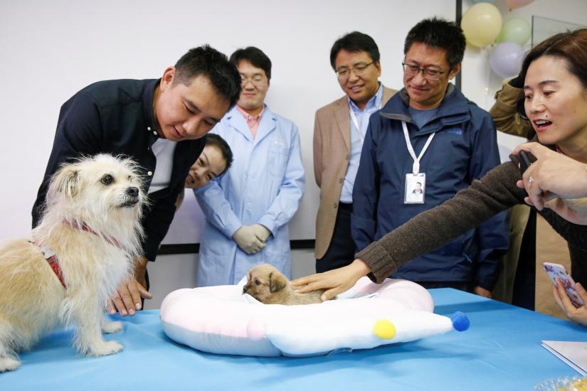 Sinogene CEO Mi Jidong (2nd R) and staff of the biotech company that specialises in animal cloning, hand over a one-month-old puppy, a clone of the nine-year-old Juice, to his owner He Jun (L) at the company`s head office in Beijing, China, October 22, 2018. Picture taken October 22, 2018. REUTERS