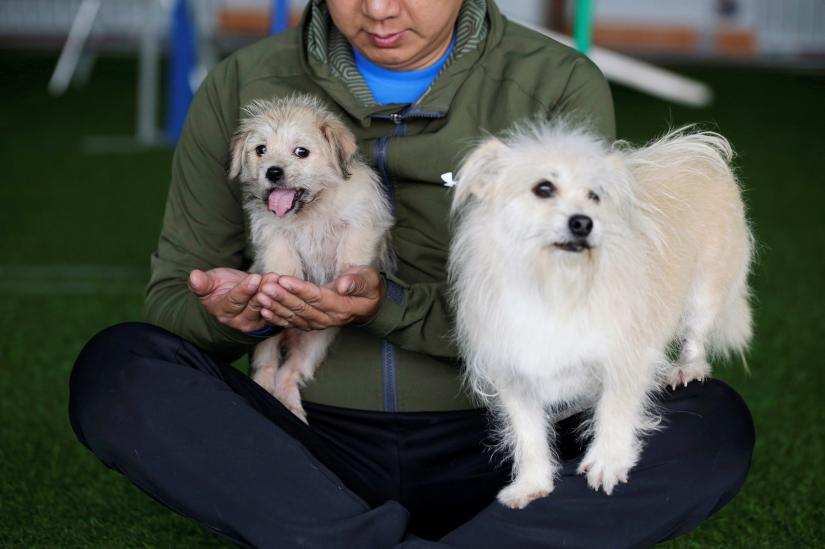 Owner He Jun poses with his dogs, nine-year-old Juice and its two-month-old clone, at his pet resort in Beijing, China November 26, 2018. Picture taken November 26, 2018. REUTERS