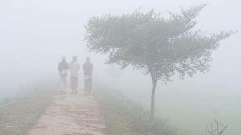 According to the one-month outlook report, Bangladesh may experience two or three mild to moderate cold waves near the end of January and two of them might turn in to intense cold waves.