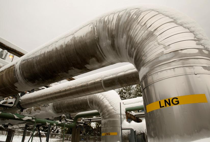 Snow covered transfer lines are seen at the Dominion Cove Point Liquefied Natural Gas (LNG) terminal in Lusby, Maryland March 18, 2014. REUTERS/File Photo