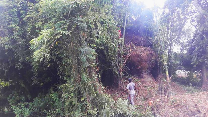 The jungle in Sadar upazila of Chandpur where the Sultani Masjid was discovered last month