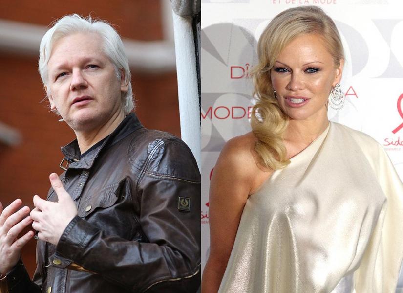 Pamela Anderson melts down on Twitter over Julian Assange's arrest