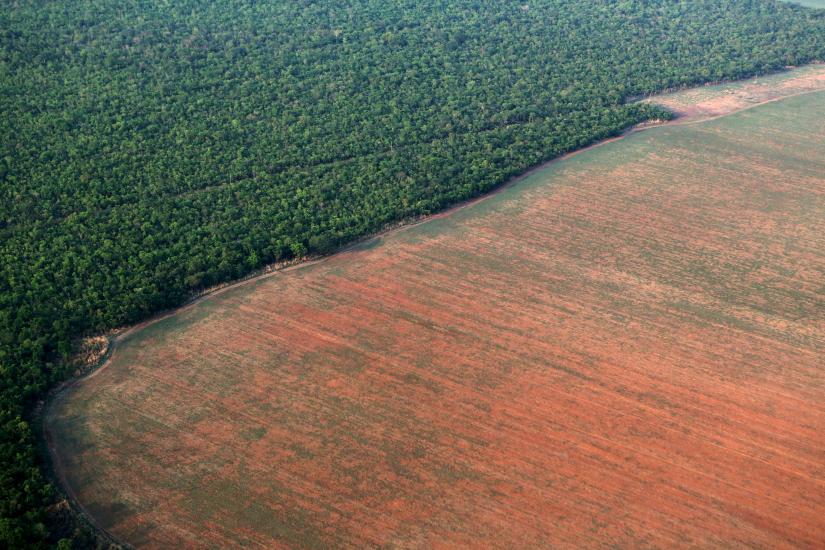 FILE PHOTO: The Amazon rain forest (L), bordered by deforested land prepared for the planting of soybeans, is pictured in this aerial photo taken over Mato Grosso state in western Brazil, October 4, 2015. Picture taken October 4, 2015. REUTERS