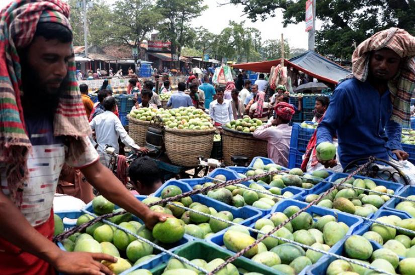 Farmers are busy selling mangoes at a market in Bagha upazila, Rajshahi.