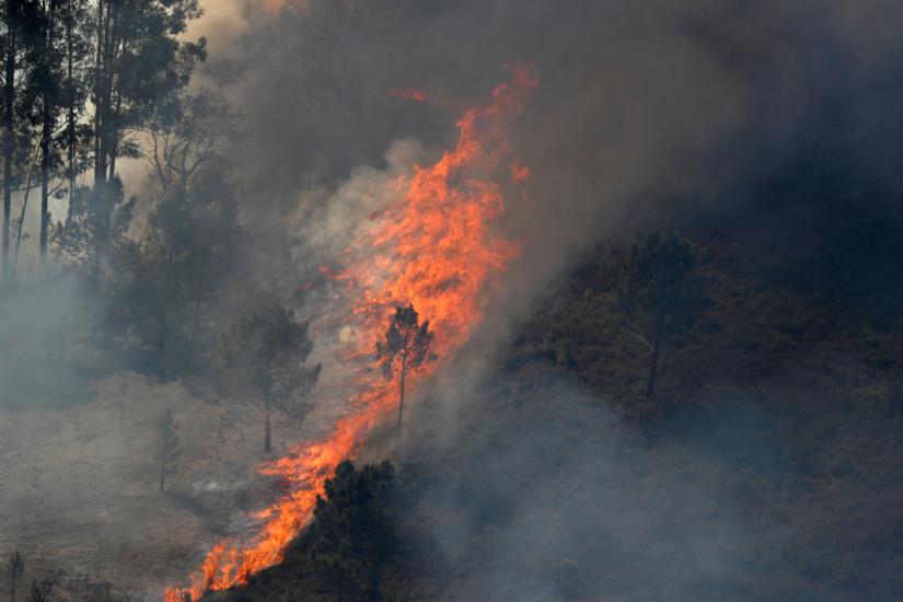 Flames of an approaching forest fire are seen near the small village of Gondomil, near Valenca, Portugal March 27, 2019. REUTERS/File Photo