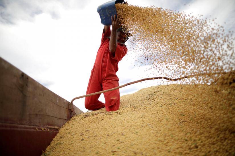 FILE PHOTO: A worker inspects soybeans during the soy harvest near the town of Campos Lindos, Brazil February 18, 2018.
