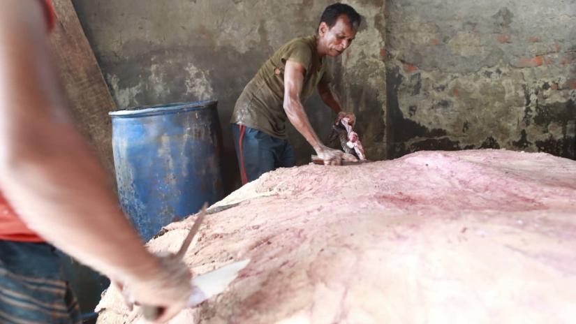 A worker is seen processing a rawhide with salt in Dhaka’s Posta area on Aug 13. SAZZAD HOSSAIN/File Photo