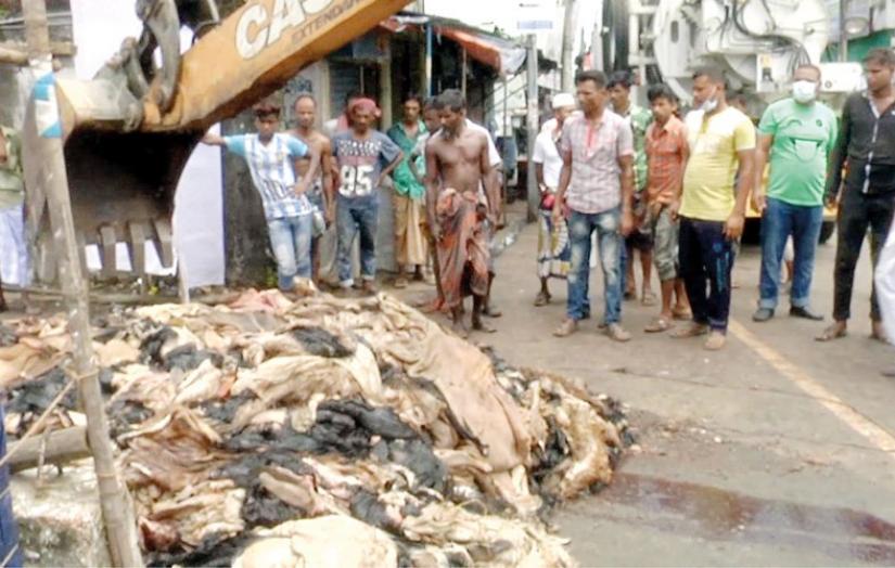 Usually 80,000-90,000 pieces of rawhide is collected from the sacrificed animals during Eid-ul-Azha in Sylhet, they remarked, but this has come down to 40,000-50,000 pieces this year