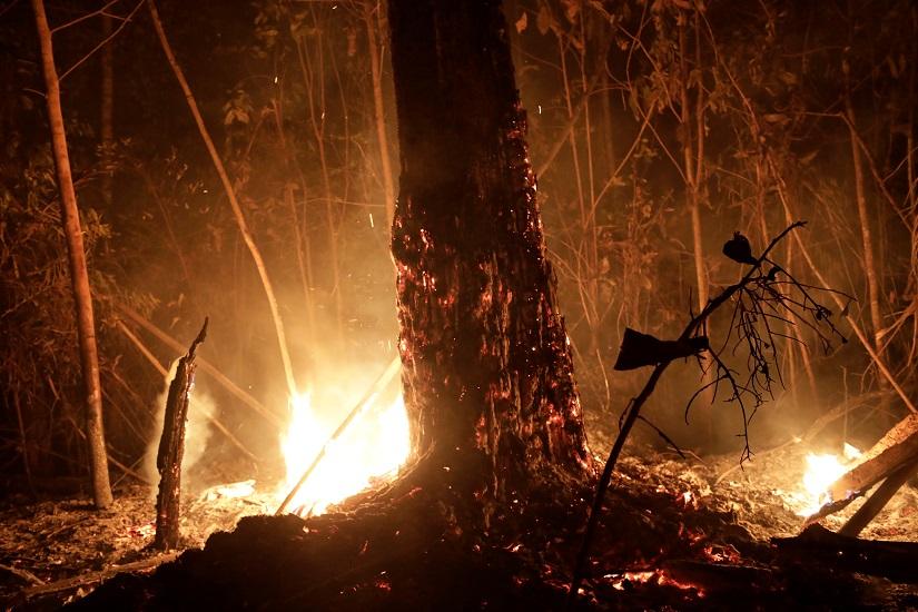 A tract of the Amazon jungle burns as it is cleared by loggers and farmers in Porto Velho, Brazil August 24, 2019. REUTERS