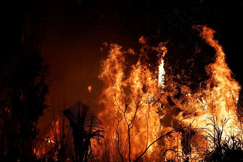 A fire burns a tract of Amazon jungle as it is cleared by loggers and farmers near Altamira, Brazil, Aug 27, 2019. REUTERS