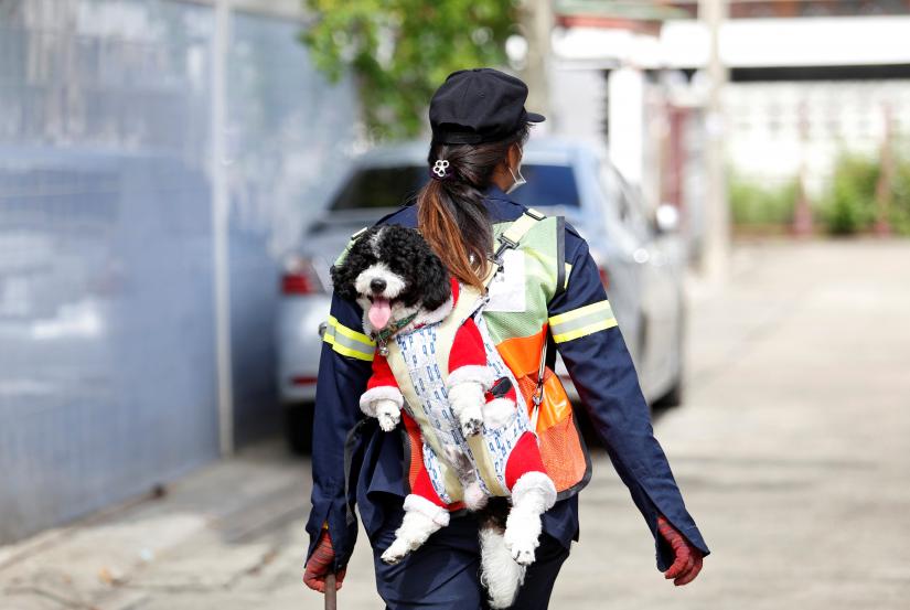 Thitirat Keowa-ram, Bangkok's street sweeper, carries her 1-year old poodle-shih tzu mix breed as she works at a street in Bangkok, Thailand, August 28, 2019. REUTERS