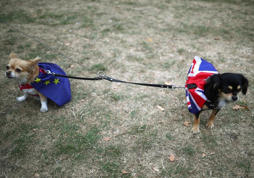 Dogs wearing British Union Jack flag and European Union flag are pictured during an anti-Brexit demonstration outside the Houses of Parliament, in London, Britain September 3, 2019. REUTERS