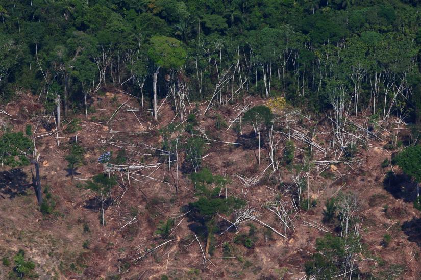 A deforested and burnt plot is seen in Jamanxim National Forest in the Amazon, near Novo Progresso, Para state, Brazil September 11, 2019. REUTERS
