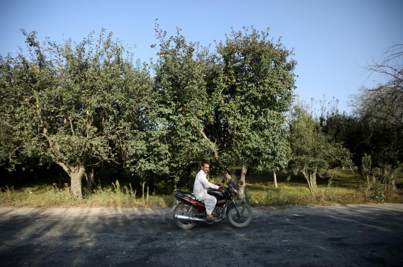 A man rides a bike past an apple orchard, in Sopore, north Kashmir, September 13, 2019. Picture taken September 13, 2019. REUTERS