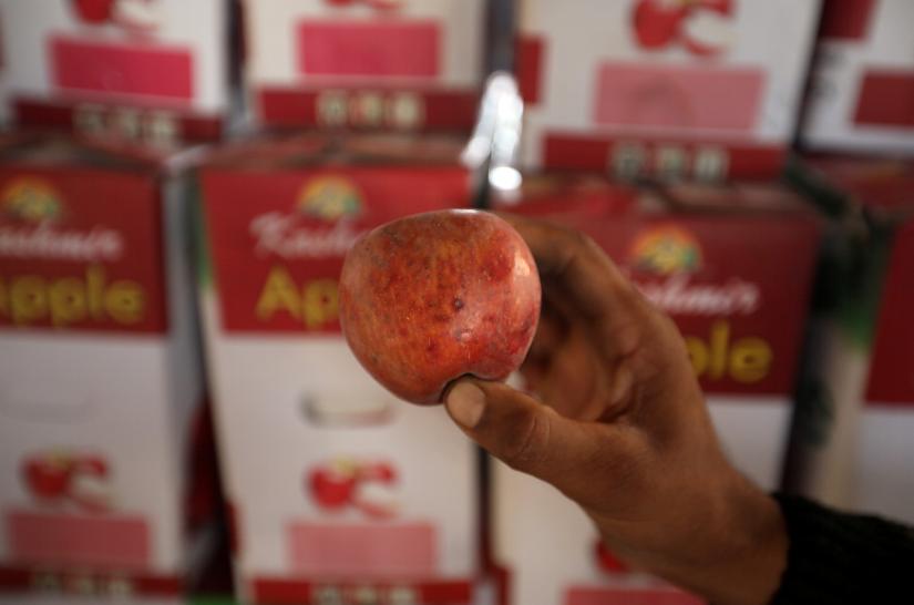 A worker displays a rotten apple at a warehouse, in Sopore, north Kashmir, September 13, 2019. Picture taken September 13, 2019. REUTERS