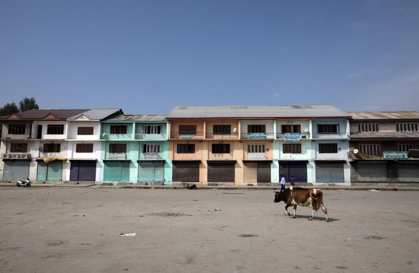 A cow walks past closed shops at a fruit market, in Parimpora, on the outskirts of Srinagar, September 11, 2019. Picture taken September 11, 2019. REUTERS