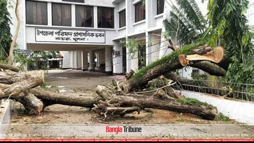 Fallen trees have been seen in front of the administrative building of Koyra Upazila Parishad in Khulna on Sunday (Nov 10).