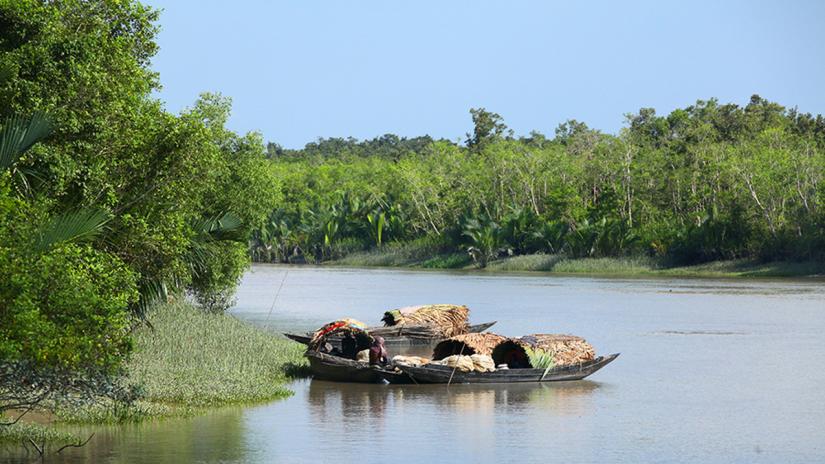 File photo of a canal in the Sundarbans. Syed Zakir Hossain