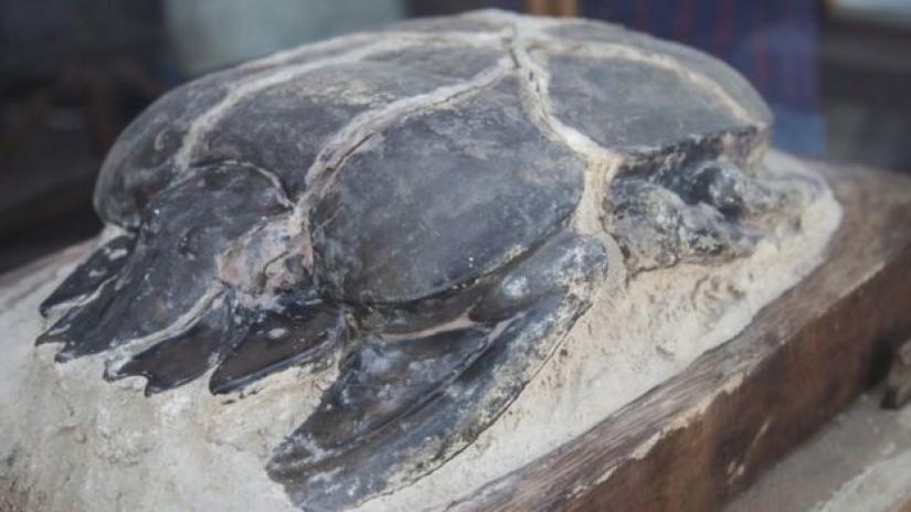 A large scarab statue was among the hundreds of artefacts discovered. PHOTO: Reuters