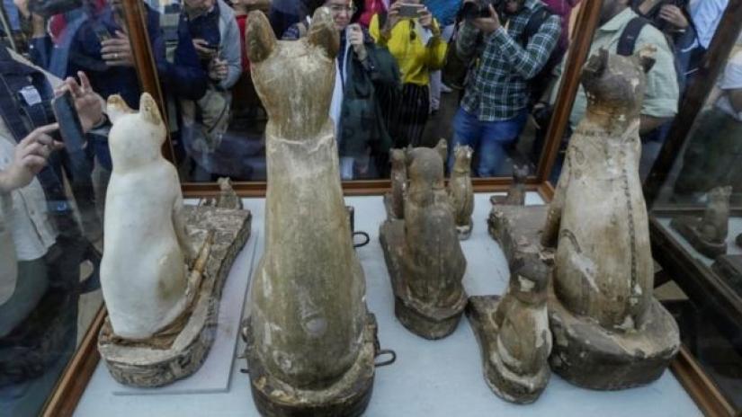 The animal mummies were found at Saqqara, an ancient burial ground south of Egypt's capital Cairo. PHOTO: Reuters