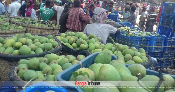 Mango trading gets a boost in Rajshahi
