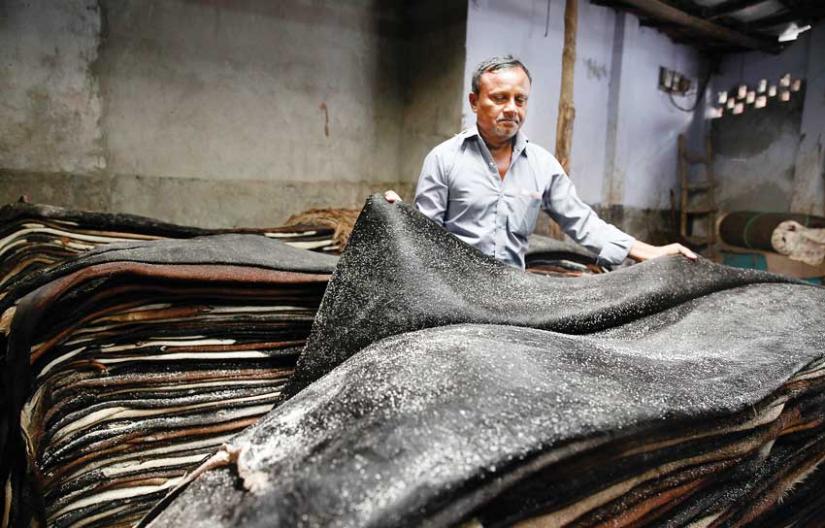 Almost half of the raw animal hides processed throughout the year is collected during the Eid ul Azha. FILE PHOTO