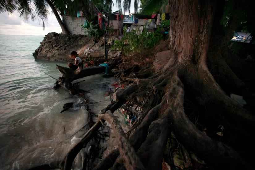 A girl sits on a log next to the roots of a tree, which have been exposed as a result of high-tides, near the village of Teaoraereke on South Tarawa in the central Pacific island nation of Kiribati May 25, 2013. REUTERS