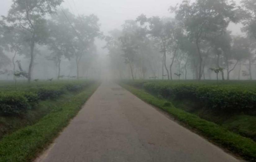 Foggy weather in Sreemangal on Wednesday, Dec 4, 2019 FILE PHOTO
