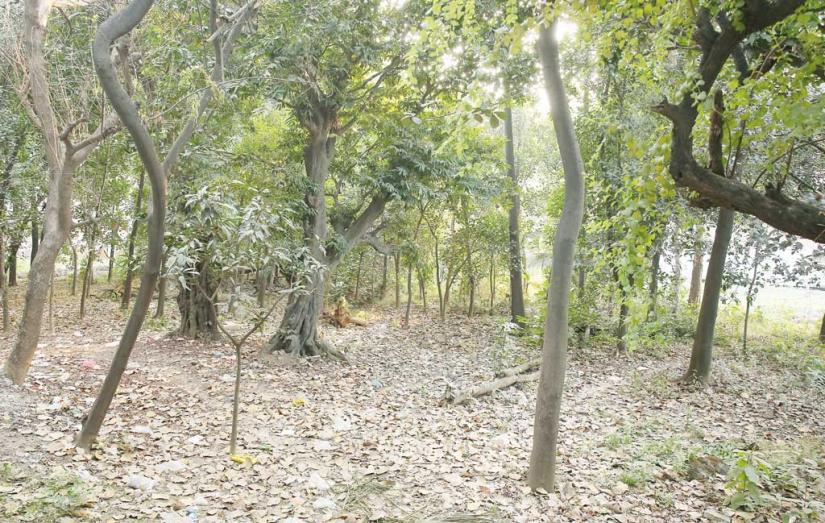 The mass grave behind the Government Bangla College at Mirpur 1 remains unprotected where a number of skeletons and dresses were found. The spot was used for dumping bodies by Razakars after killings back then. PHOTO/Syed Zakir Hossain