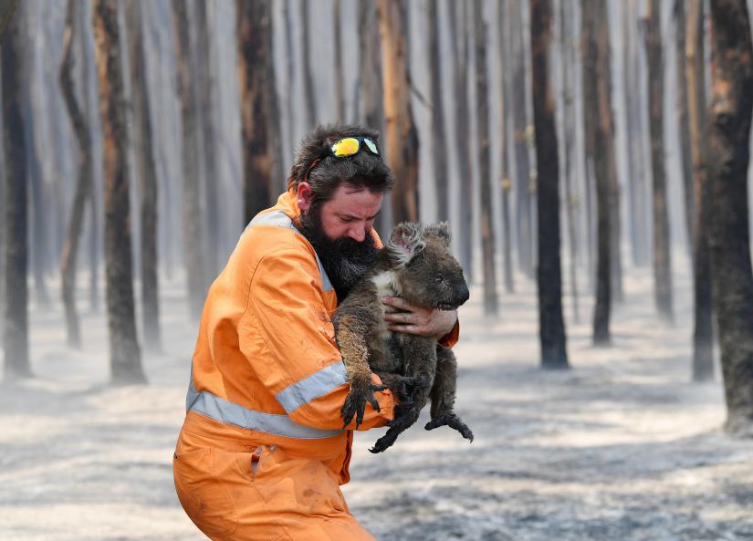 Adelaide wildlife rescuer Simon Adamczyk is seen with a koala rescued at a burning forest near Cape Borda on Kangaroo Island, southwest of Adelaide, Australia, January 7, 2020. AAP Image via REUTERS