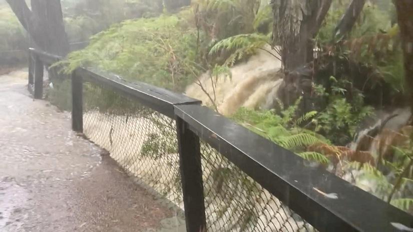 Floodwaters are seen during heavy rainfall at the Australian Reptile Park in Somersby, New South Wales in this still frame obtained from Jan 17, 2020 social media video. AUSTRALIAN REPTILE PARK /via REUTERS