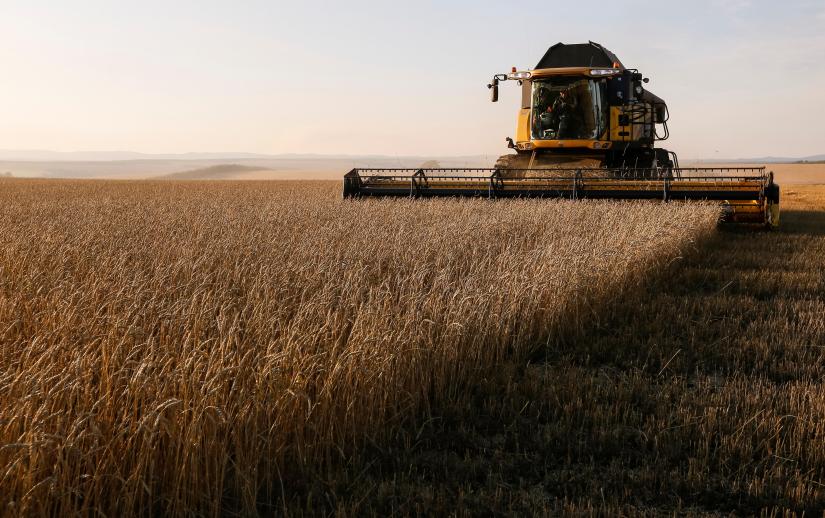 A combine harvests wheat in a field of the Solgonskoye private farm outside the Siberian village of Talniki in Krasnoyarsk region, Russia September 7, 2018. REUTERS/File Photo
