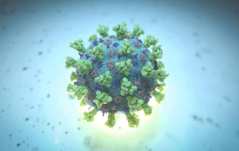 A computer image shows a model structurally representative of a betacoronavirus which is the type of virus linked to Covid-19. Reuters